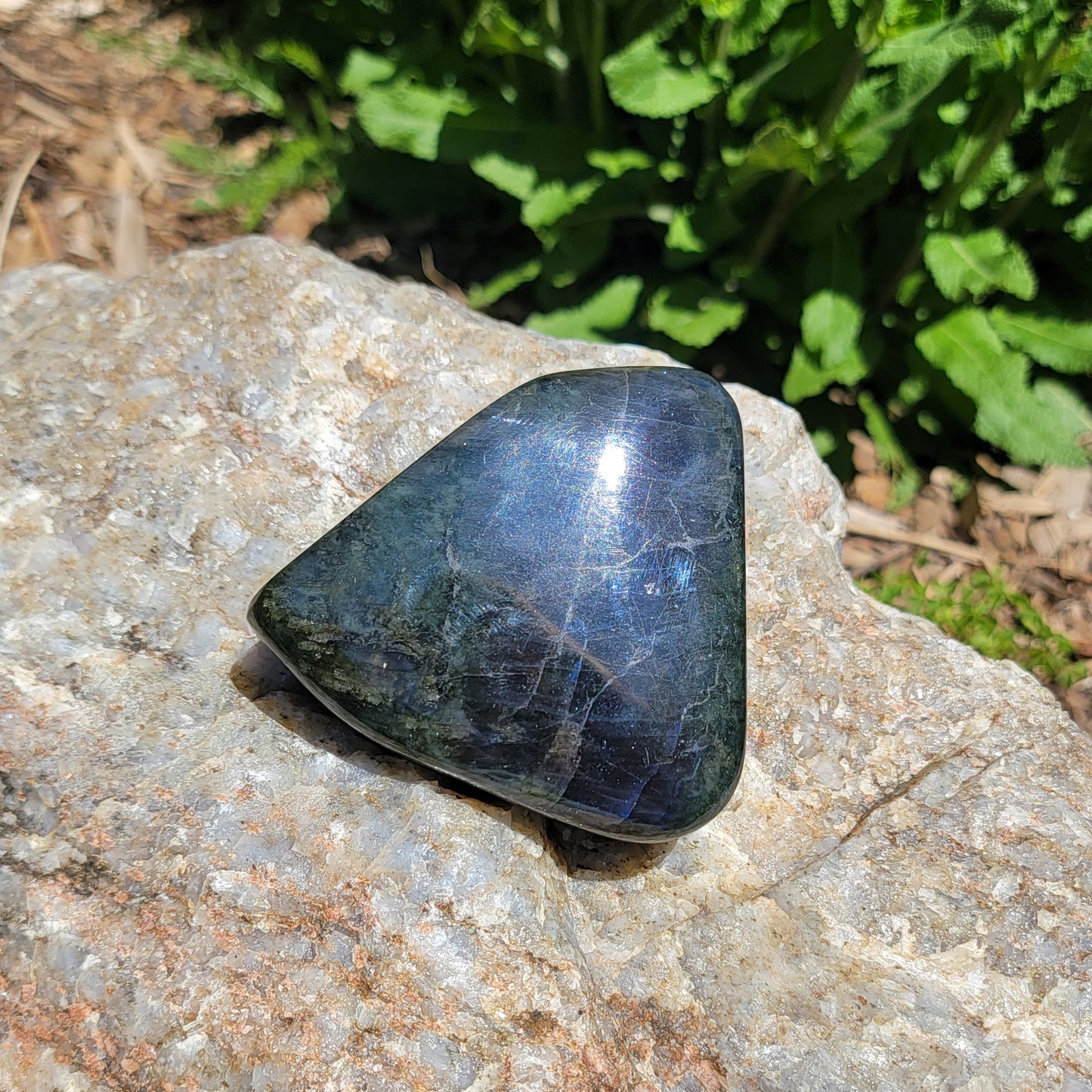 Labradorite Freeform