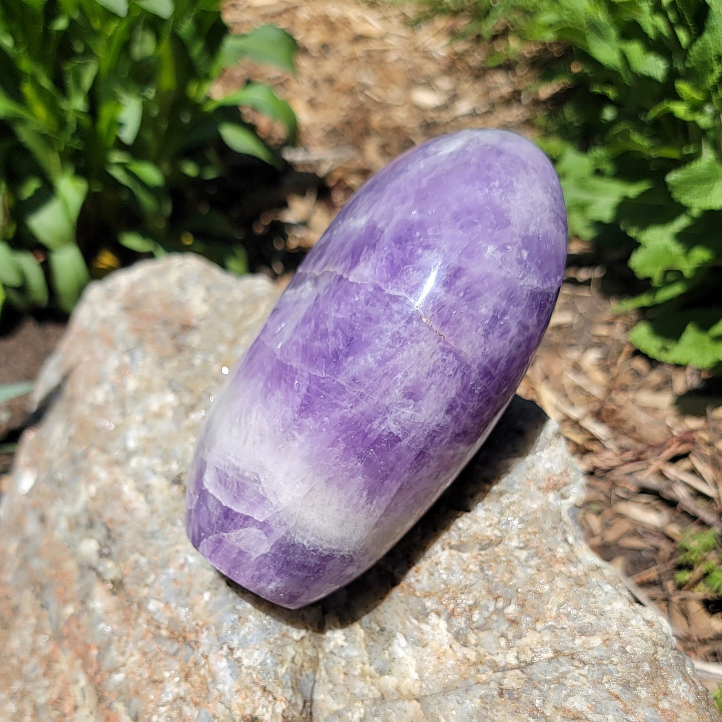 Large Amethyst Freeform