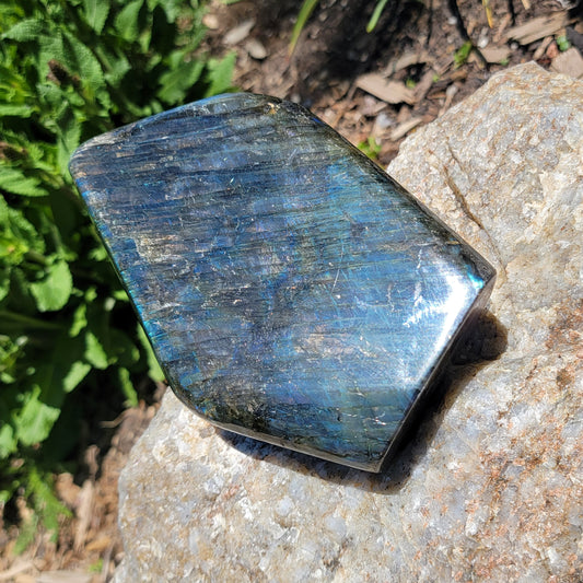 Labradorite Freeform